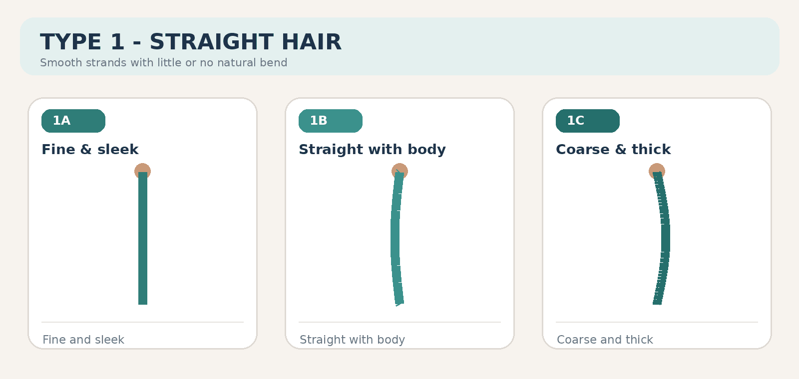 Type 1 straight hair — subtypes 1A fine and sleek, 1B straight with body, 1C coarse and thick